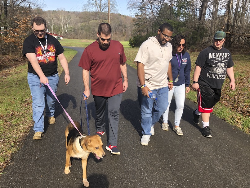 Four teenagers and a woman walk a dog down an asphalt path